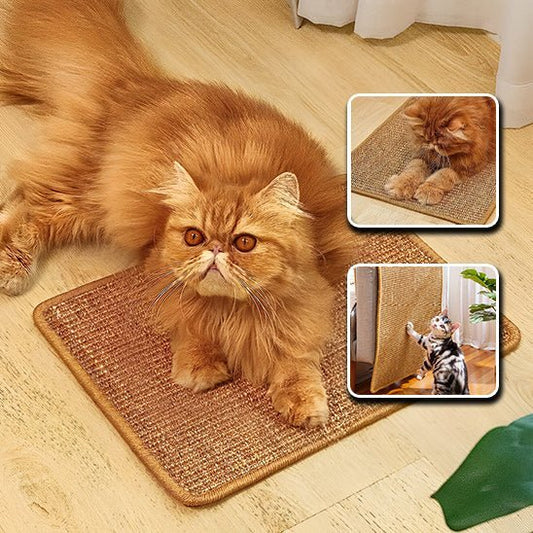 Grattoir chat - POLYMERACHAT™ - CHATS