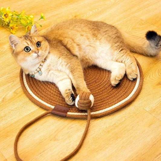Grattoir chat - TAPISPOURCHAT™ - CHATS