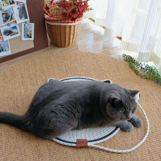 Grattoir chat - TAPISPOURCHAT™ - CHATS