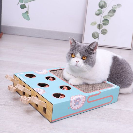 Griffoir à chat - BOITAJEUPOURCHAT™ - CHATS