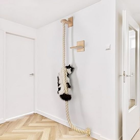 Griffoir chat - ESCALADEPOURCHAT™ - CHATS