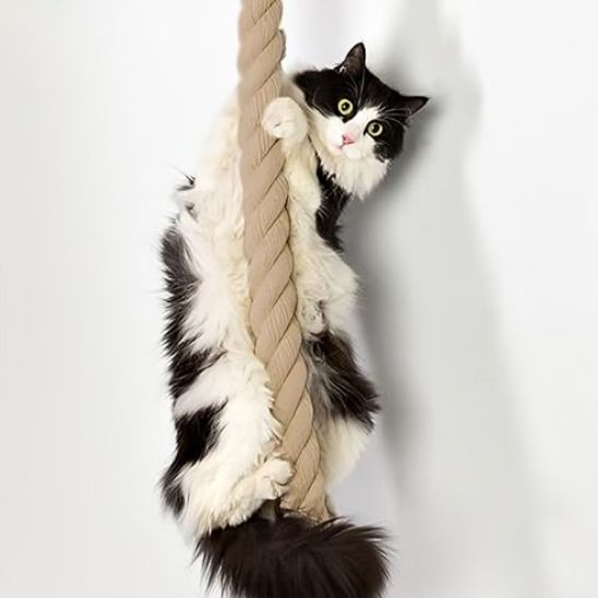 Griffoir chat - ESCALADEPOURCHAT™ - CHATS