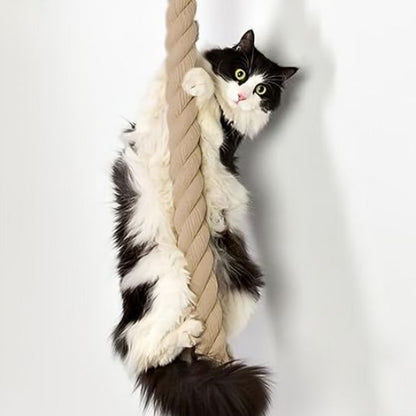 Griffoir chat - ESCALADEPOURCHAT™ - CHATS
