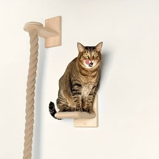 Griffoir chat - ESCALADEPOURCHAT™ - CHATS