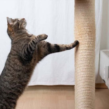 Griffoir chat - POTEAUPOURCHAT™ - CHATS