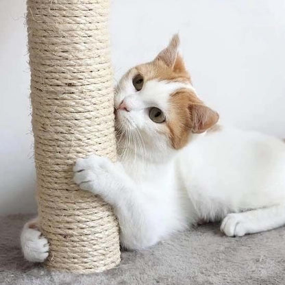 Griffoir chat - POTEAUPOURCHAT™ - CHATS
