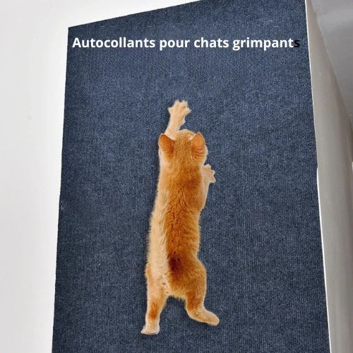 Griffoir chat - TAPISMURALACHAT™ - CHATS