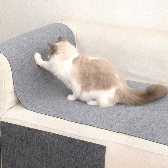 Griffoir chat - TAPISMURALACHAT™ - CHATS