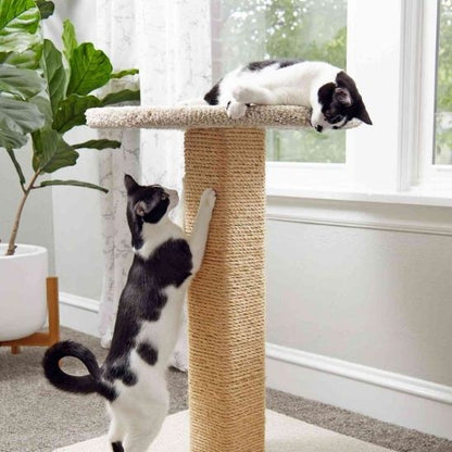 Griffoir pour chat - CORDEPOURCHAT™ - CHATS