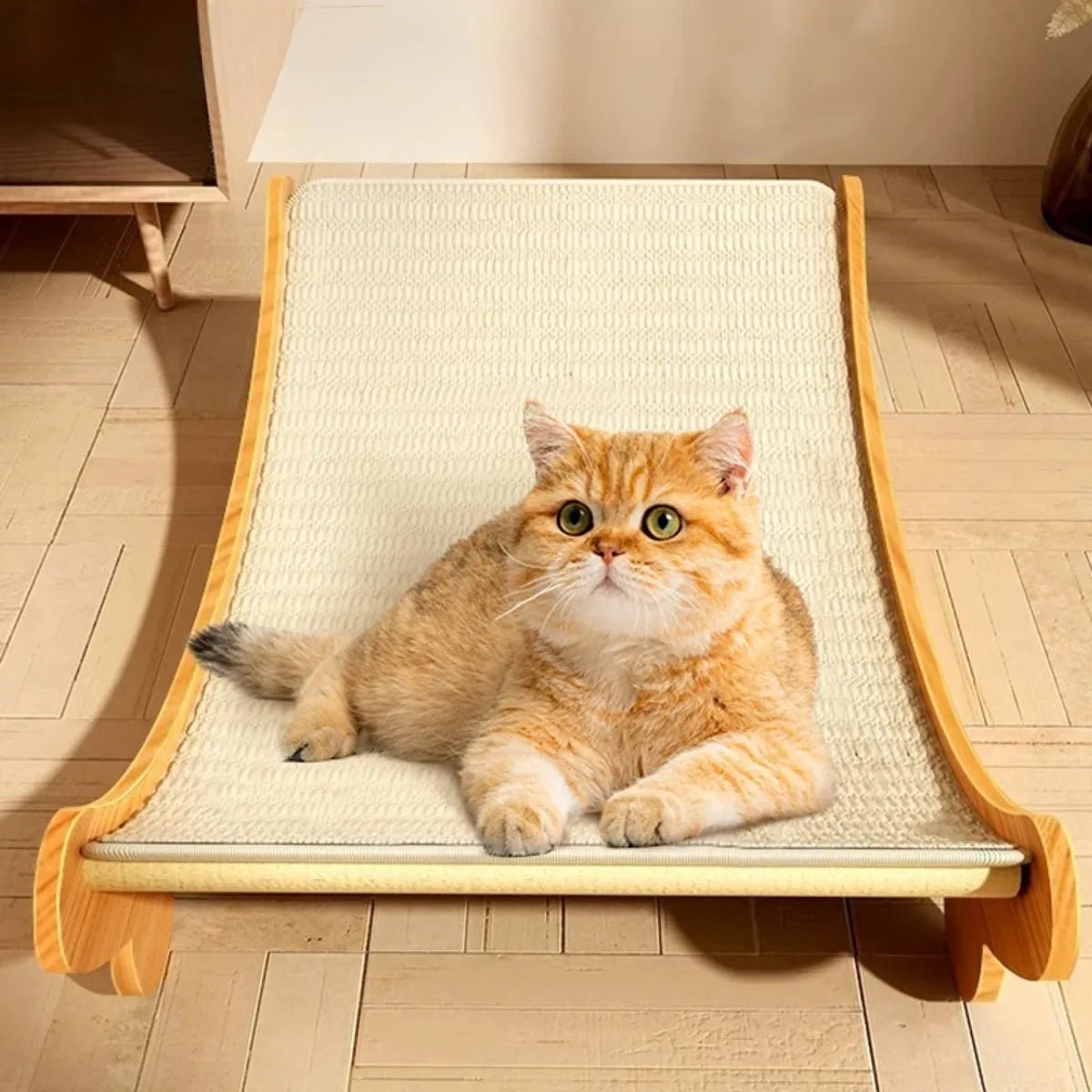 Griffoir pour chat - COURBACHAT™ - CHATS