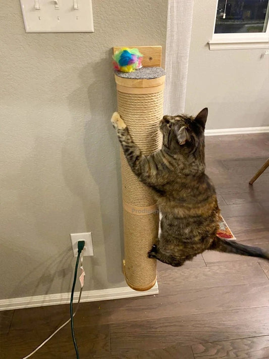 Griffoir pour chat - MURALCHAT™ - CHATS