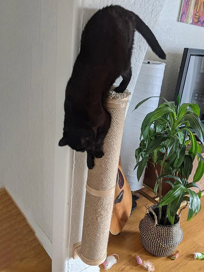 Griffoir pour chat - MURALCHAT™ - CHATS