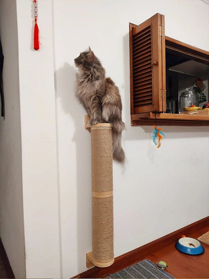 Griffoir pour chat - MURALCHAT™ - CHATS