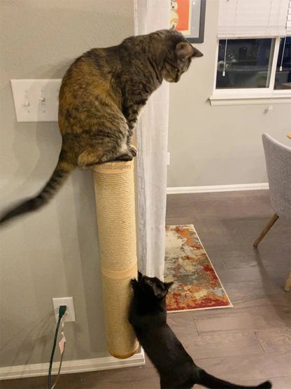 Griffoir pour chat - MURALCHAT™ - CHATS