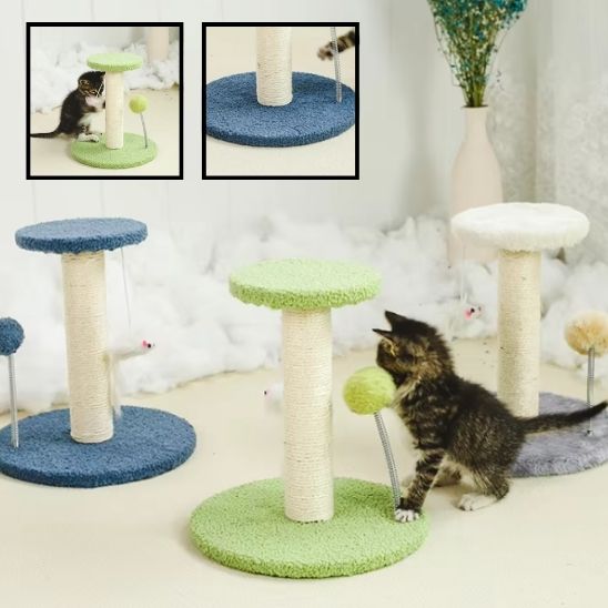 Griffoir pour chat - TOURARBRACHAT™ - CHATS