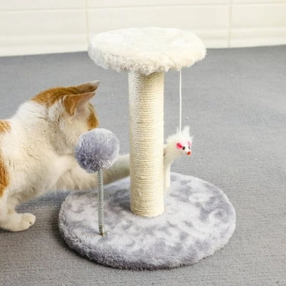 Griffoir pour chat - TOURARBRACHAT™ - CHATS