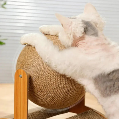 Griffoire chat - BOULAGRATTERPOURCHAT™ - CHATS