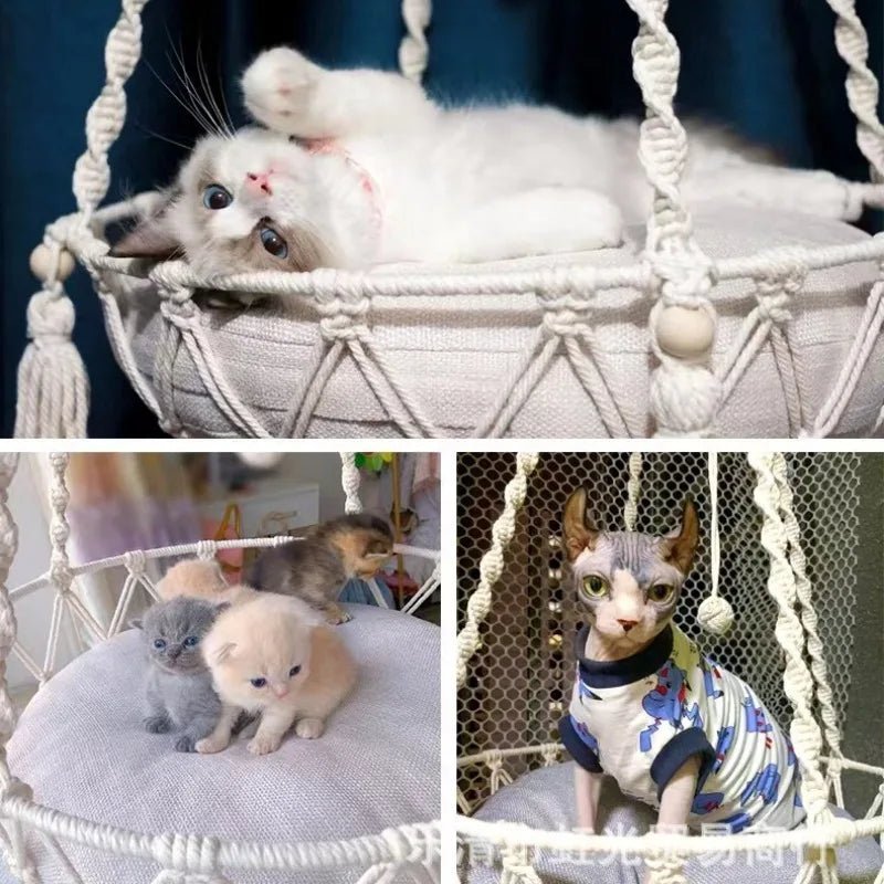 Hamac à chat - BALANCEPOURCHAT™ - CHATS
