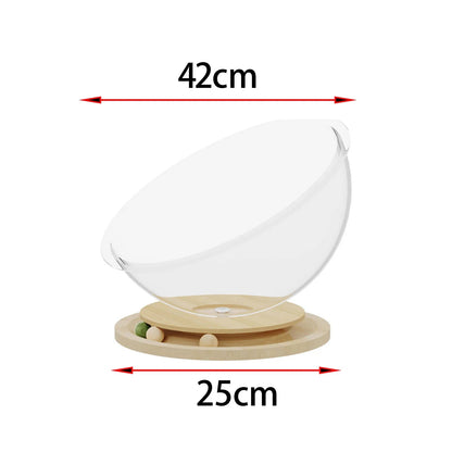 Hamac à chat - CAPSULACHAT™ - CHATS