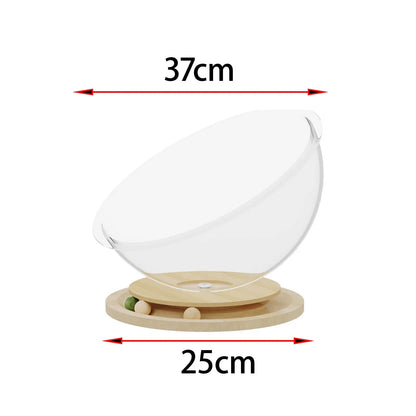 Hamac à chat - CAPSULACHAT™ - CHATS
