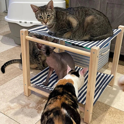 Hamac chat - LITENBOISPOURCHAT™ - CHATS