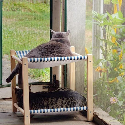 Hamac chat - LITENBOISPOURCHAT™ - CHATS