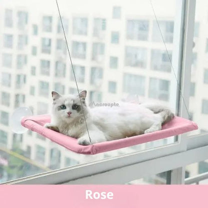 Hamac pour chat fenetre - HAMACFENETRE™ - CHATS