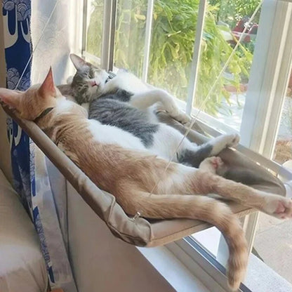 Hamac pour chat fenetre - Fini les meubles abimés et les poils partout dans votre maison