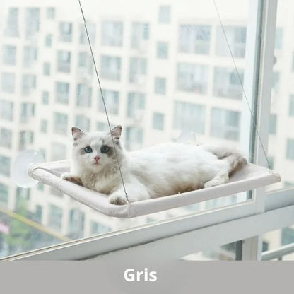 Hamac pour chat fenetre - HAMACFENETRE™ - CHATS