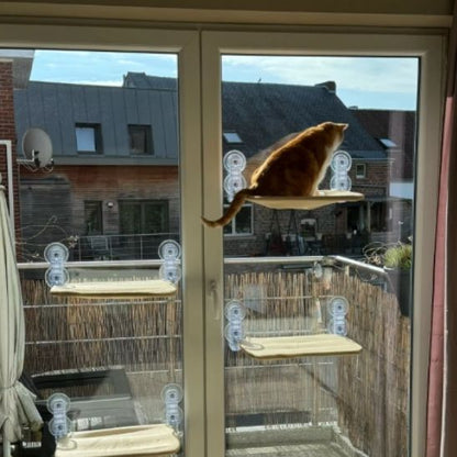 Hamac pour chat fenetre - NIDSUSPENDUPOURCHAT™ - CHATS