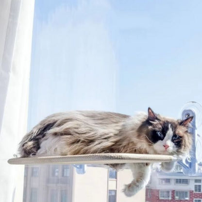 Hamac pour chat fenetre - NIDSUSPENDUPOURCHAT™ - CHATS
