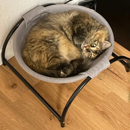 Hamac pour chat - HAMACPOURCHAT™ - CHATS