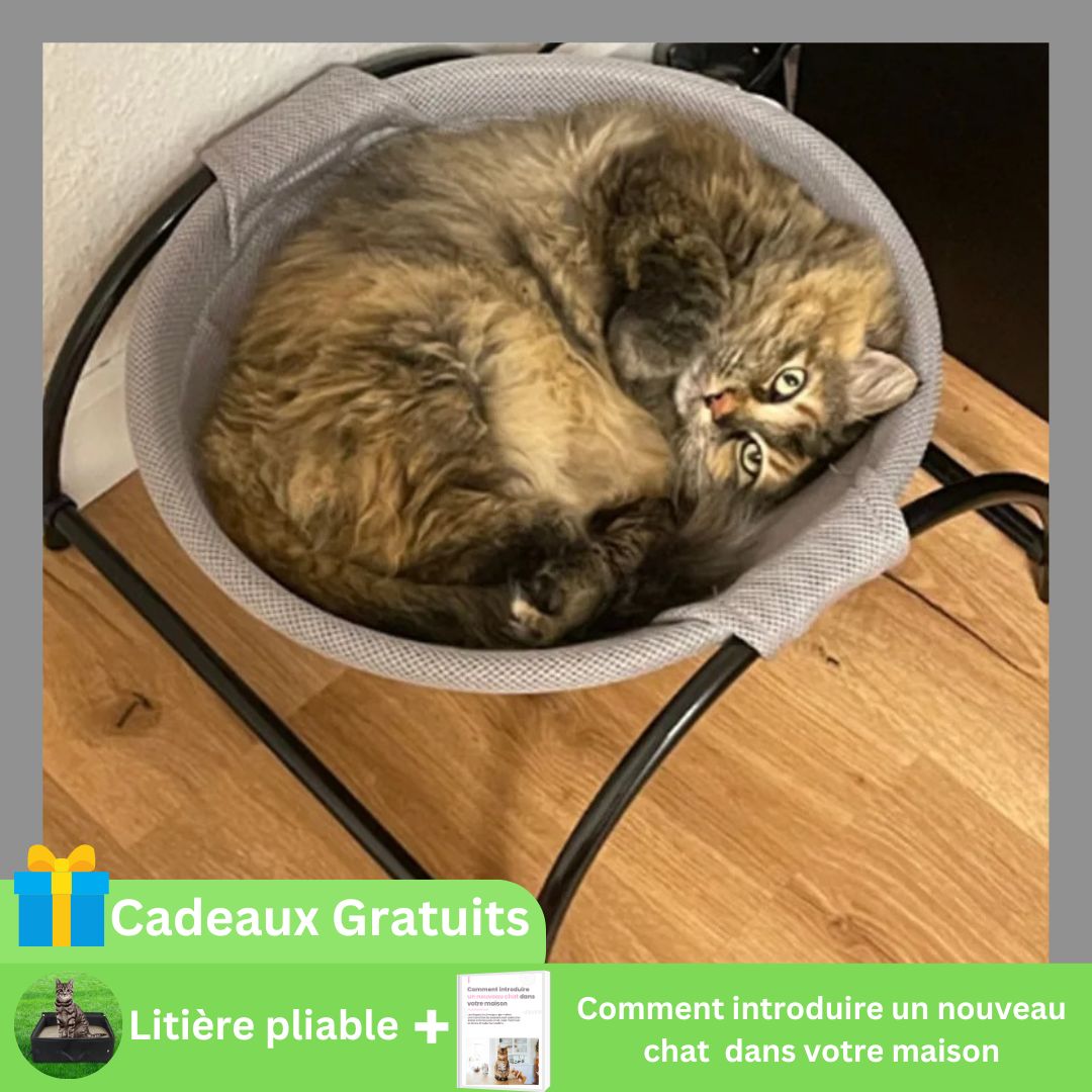 HAMACACHAT - Hamac pour chat - TM - CHATS