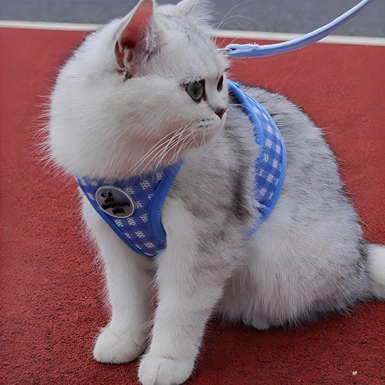 Harnais pour chat - SANGLACHAT™ - CHATS