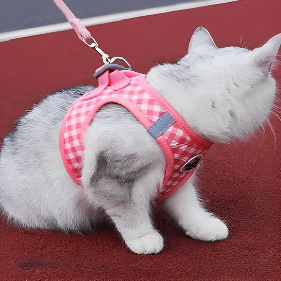 Harnais pour chat - SANGLACHAT™ - CHATS