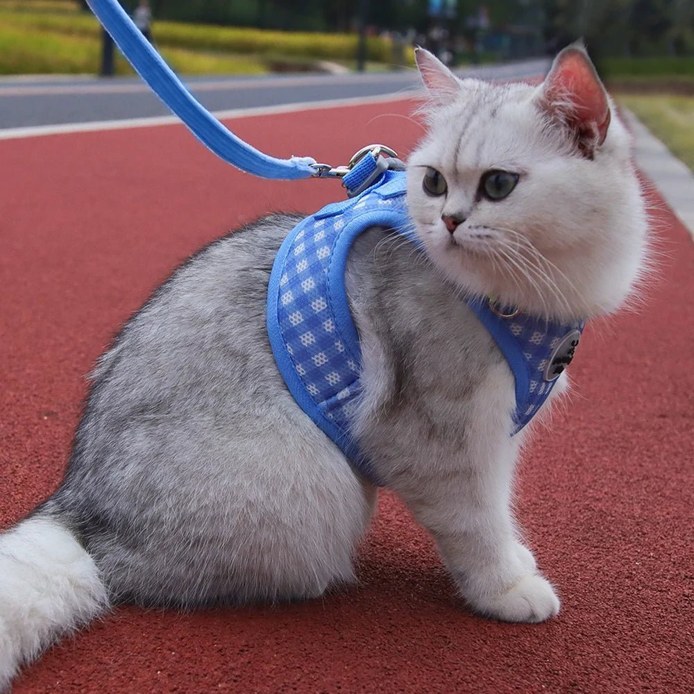 Harnais pour chat - SANGLACHAT™ - CHATS