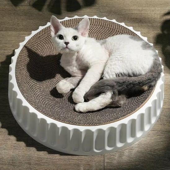 Griffoir pour chat - TAMPON™