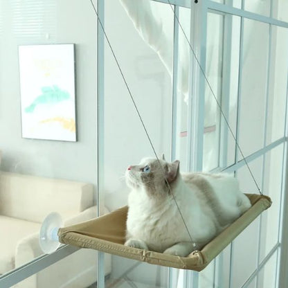 Hamac pour chat fenetre - Vue panoramique pour votre félin