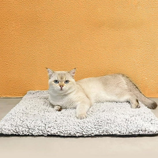 Tapis chauffant chat - AUTOCHAUFFANTCHAT™