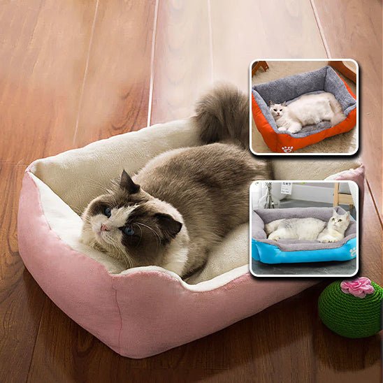 Lit pour chat - LITPOURCHAT™ - CHATS