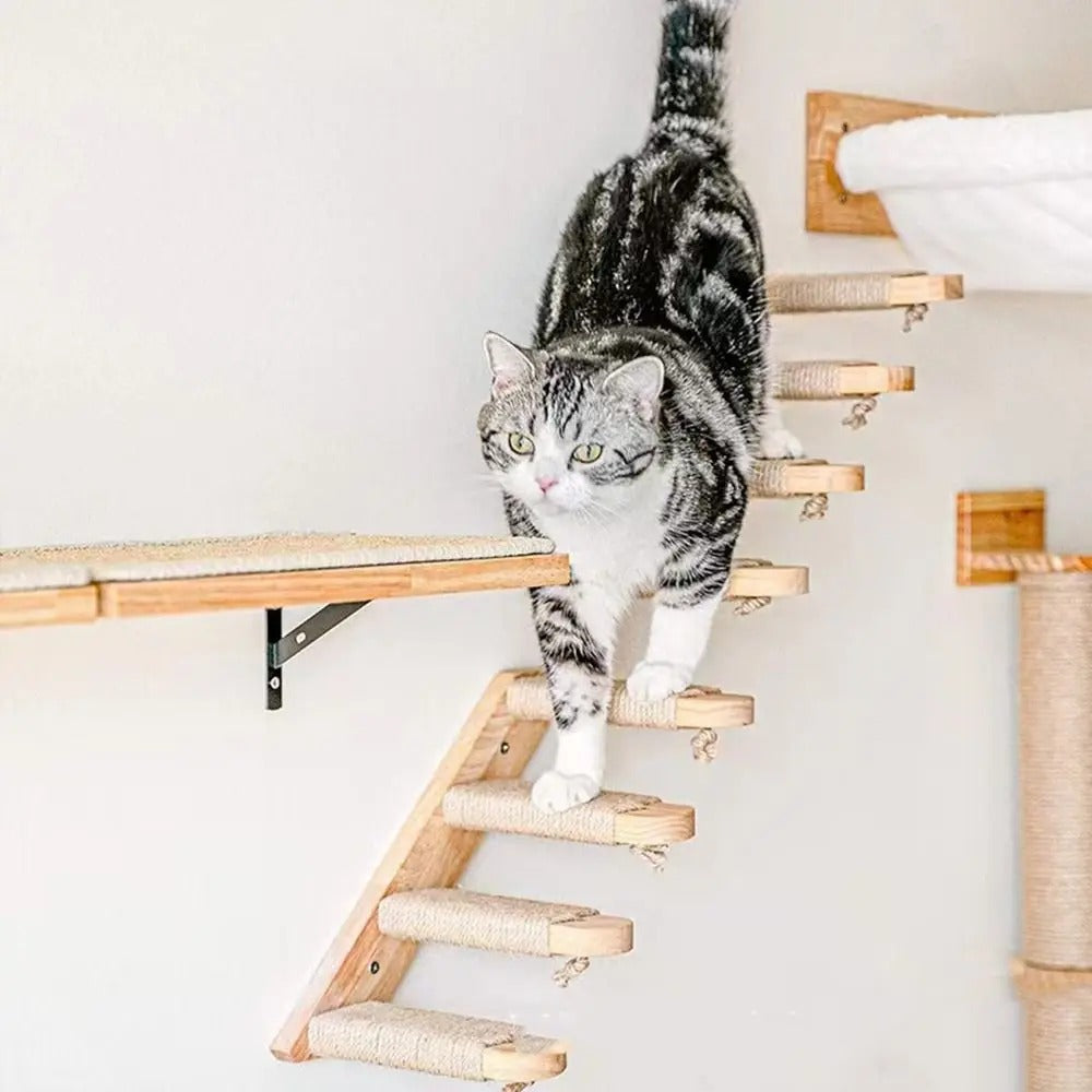 Griffoir chat - Griffoir chat innovant