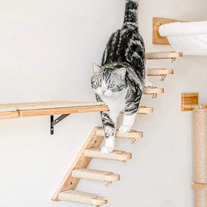Griffoir chat - Griffoir chat innovant