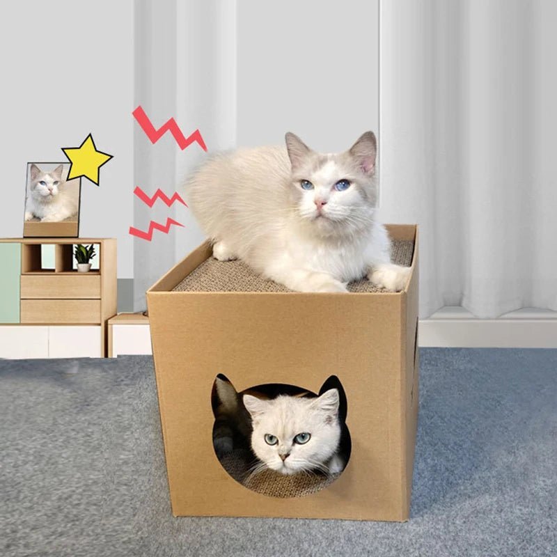 Maison pour chat - CARTONPOURCHAT™ - CHATS