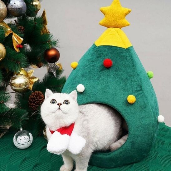 Niche pour chat - NIDCHAUDPOURCHAT™ - CHATS