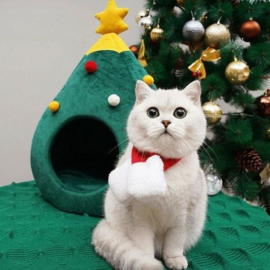 Niche pour chat - NIDCHAUDPOURCHAT™ - CHATS
