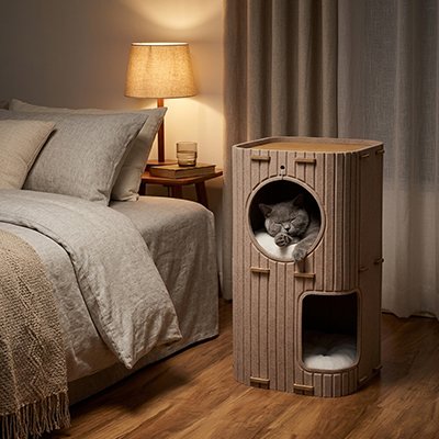 Niche pour  chat 