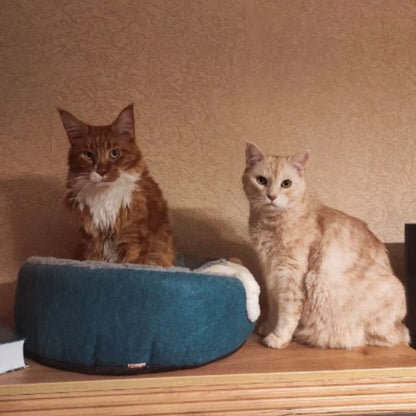 Panier chat - HOOPETPOURCHAT™ - CHATS