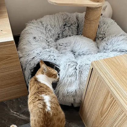 Tunnel pour chat _ Polyvalence - LITUNNELCHAT™ - CHATS