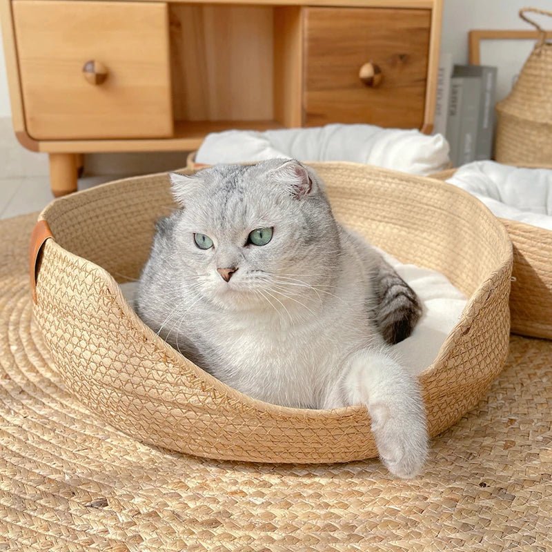 Panier en osier pour chat - SOFACHAT™ - CHATS