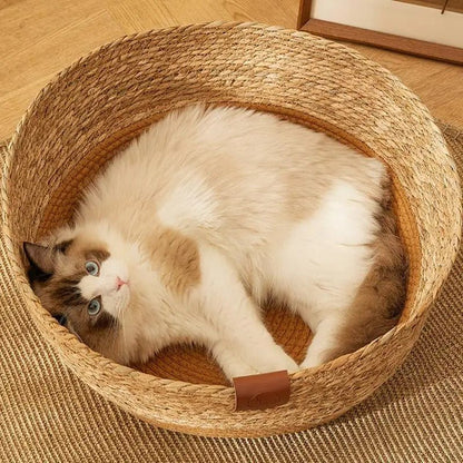Panier osier chat - LITISSEPOURCHAT™ - CHATS